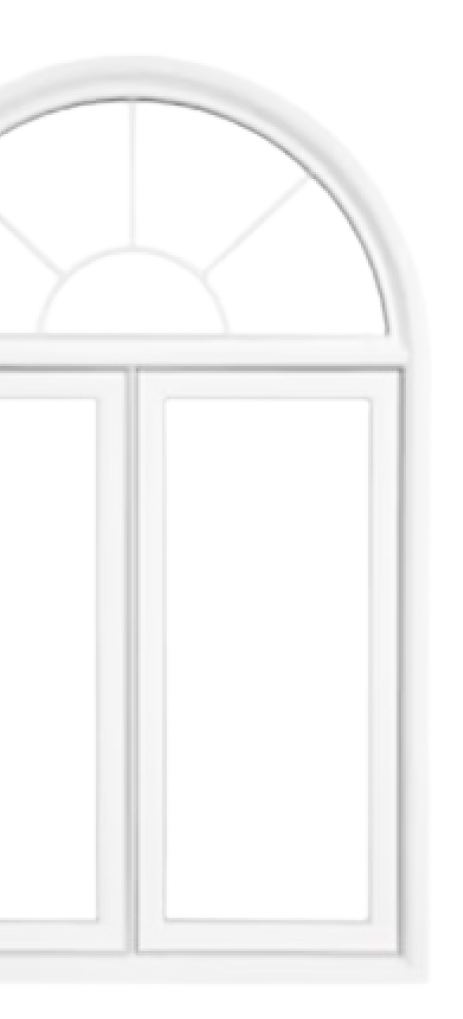 lprofessional window